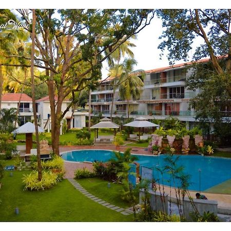 Aarju Luxurious Stay Calangute Exterior foto